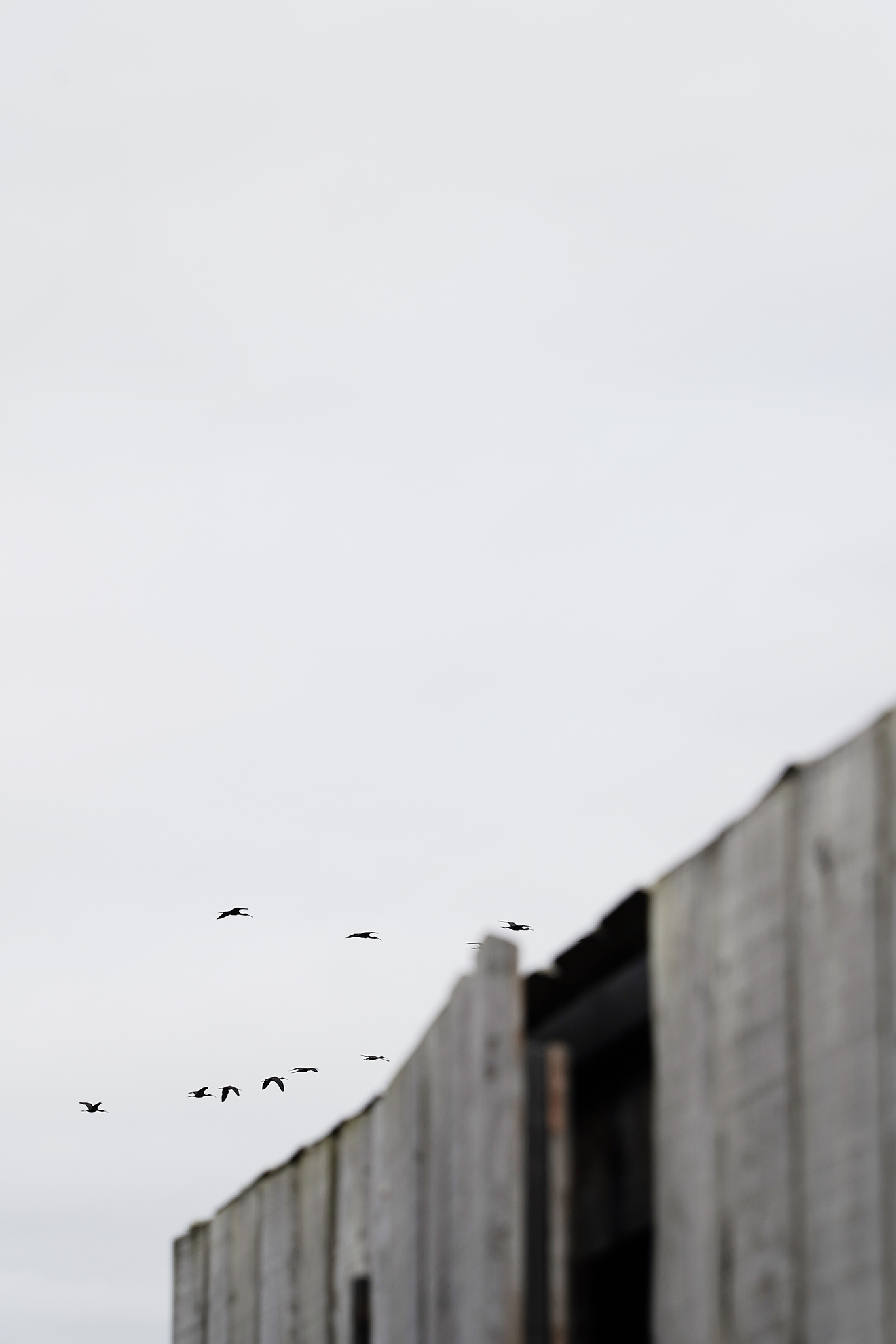 Rene Rae & Tim Reed_Cabanas no Rio_Silent Living_27