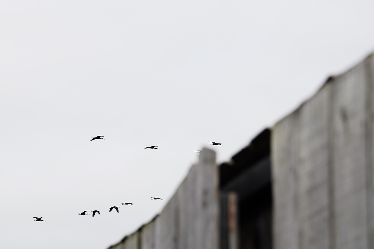 Local_Silent Living